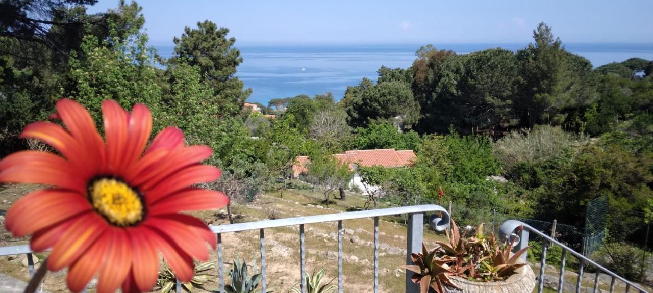 Hébergement de vacances Casa Panoramica Bouganville SantʼAndrea