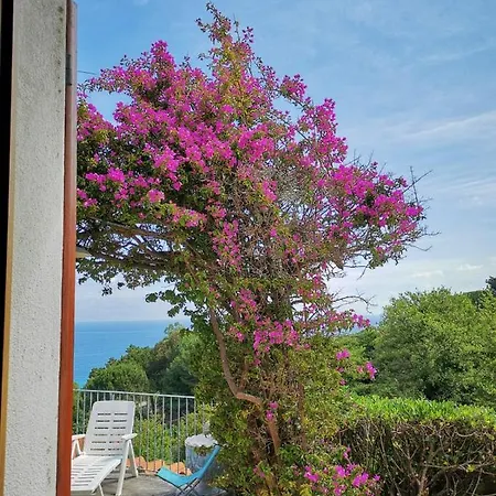 Casa Panoramica Bouganville Sant'Andrea  Exterior photo