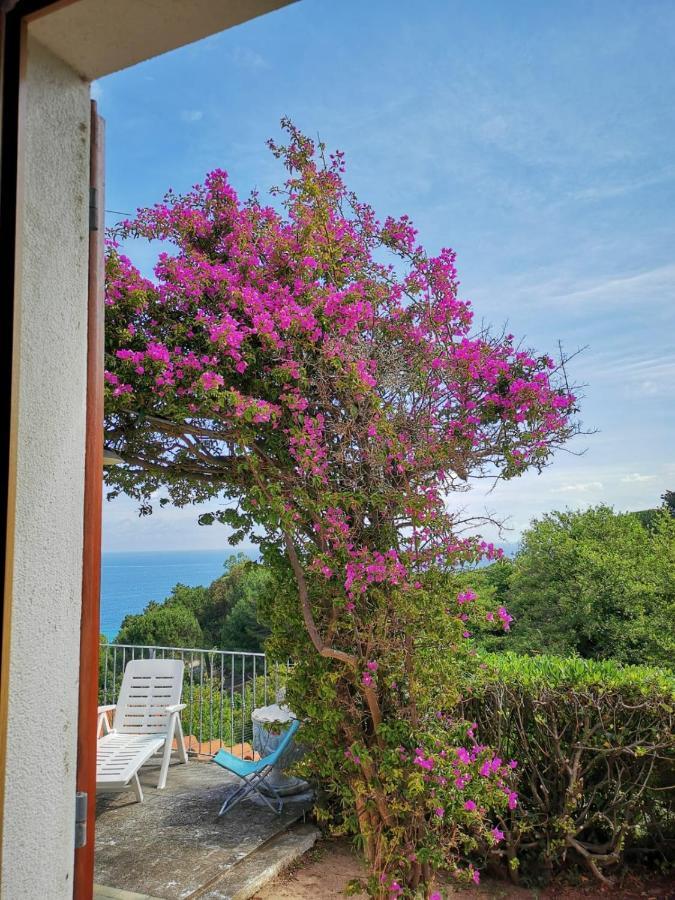 Casa Panoramica Bouganville Holiday home Sant'Andrea (Isola d'Elba)