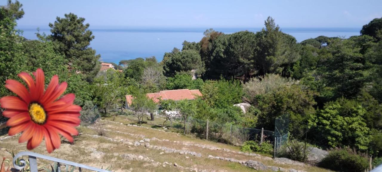 Holiday home Casa Panoramica Bouganville