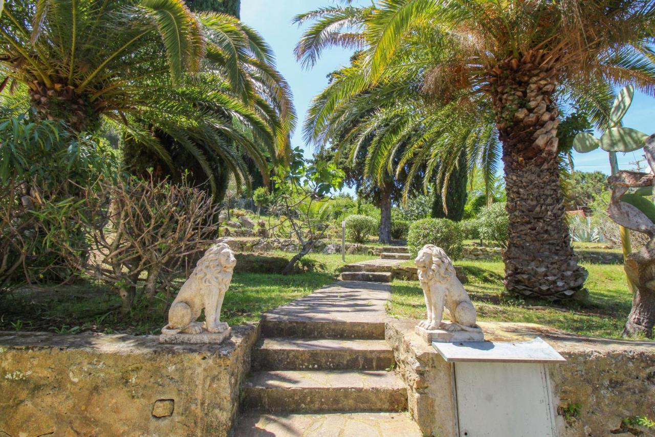 Casa Panoramica Bouganville Holiday home Sant'Andrea (Isola d'Elba)