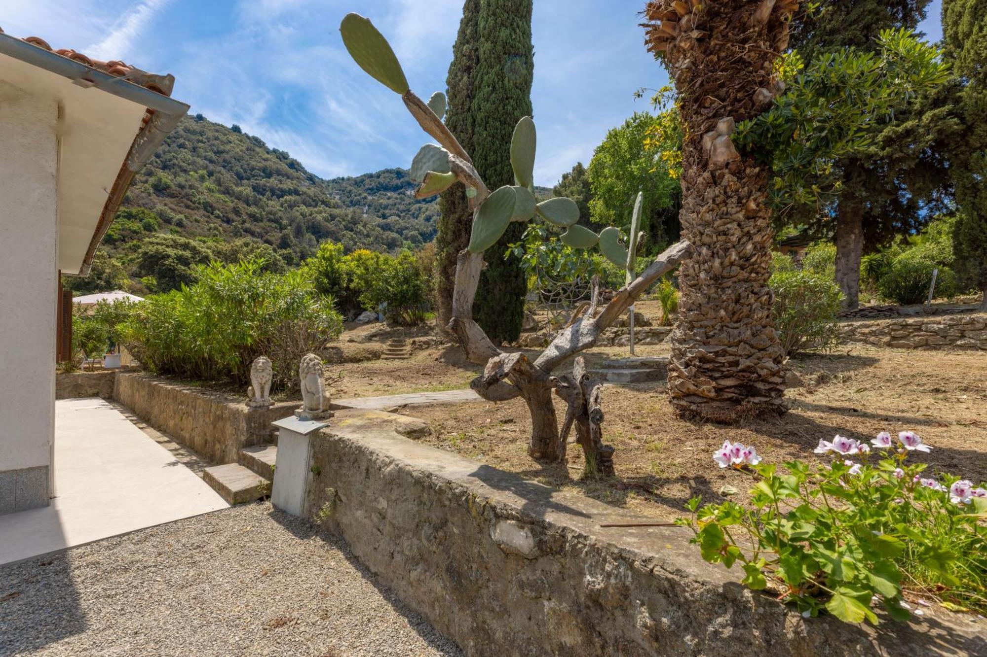 Casa Panoramica Bouganville *