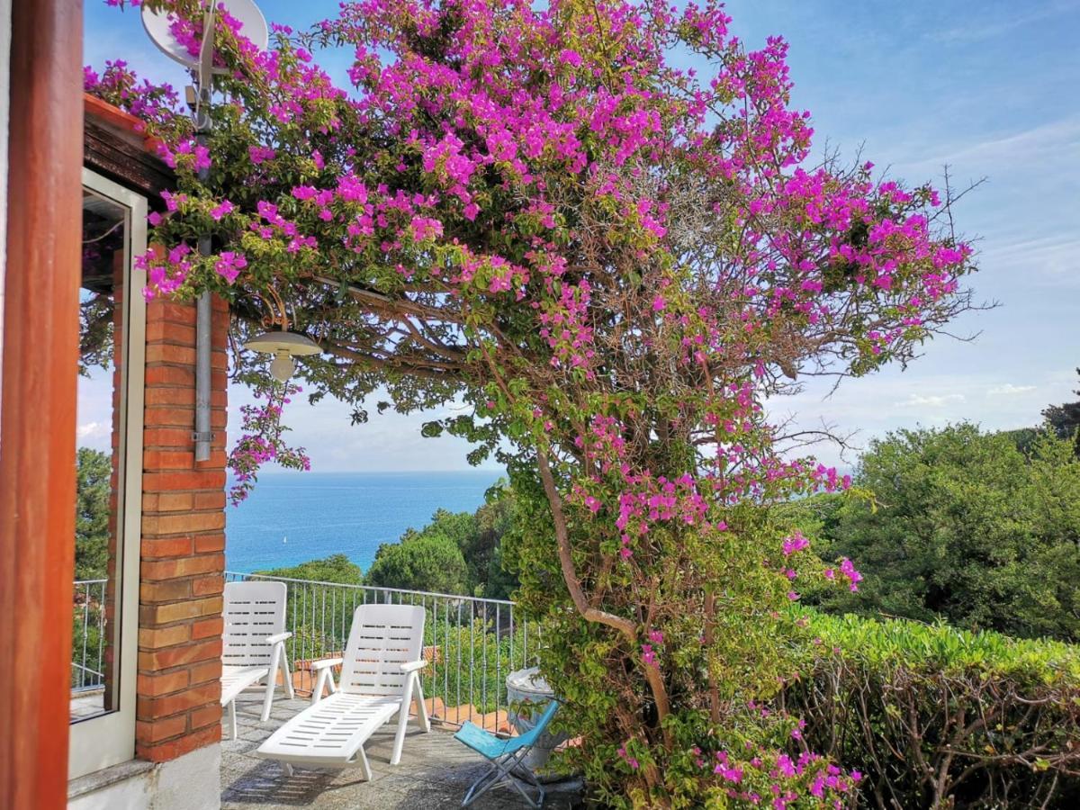 Casa Panoramica Bouganville Sant'Andrea (Isola d'Elba)